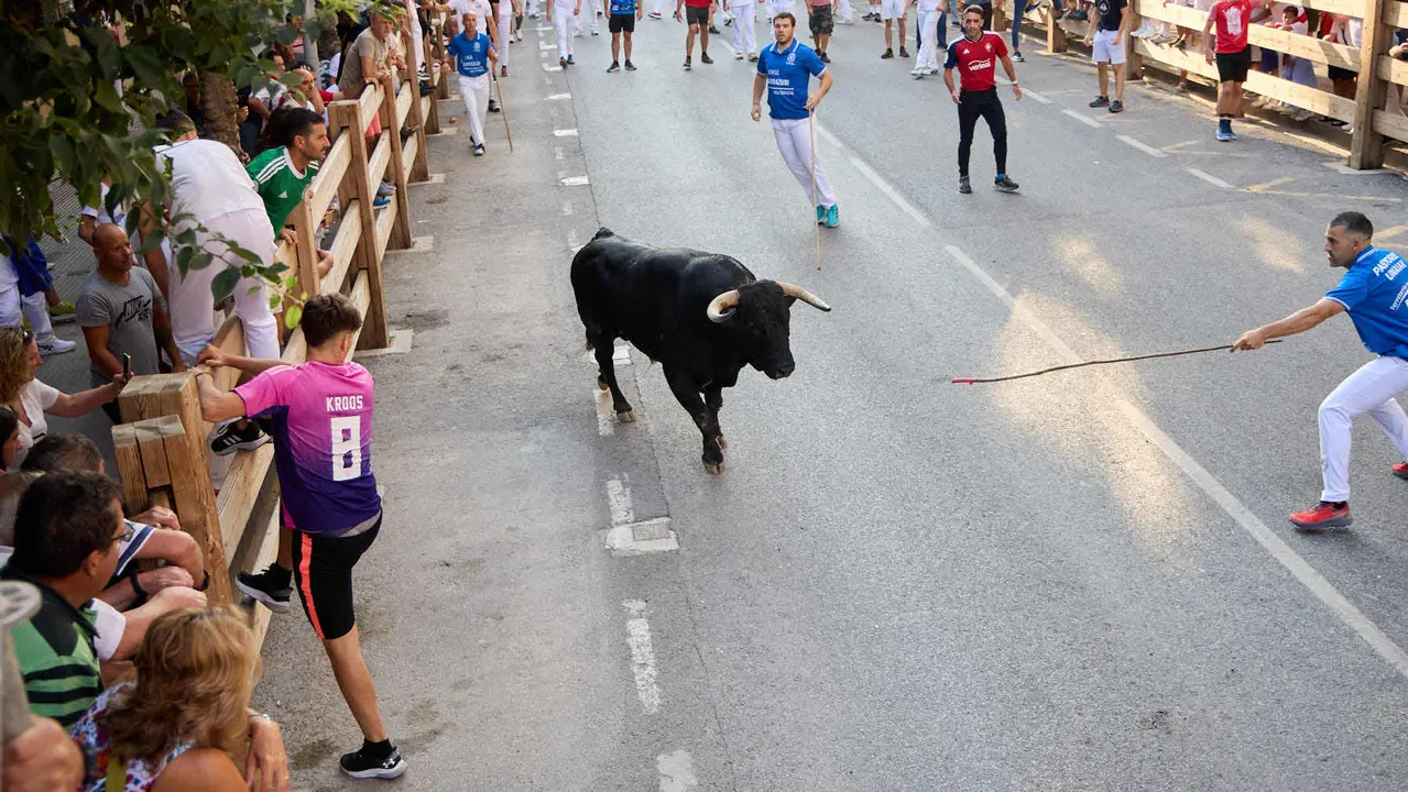 Primer encierro de las fiestas de Tafalla 2025 con toros de la ganadería del Conde de la Corte. IÑIGO ALZUGARAY