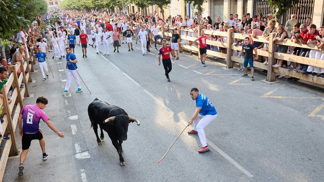 Primer encierro de las fiestas de Tafalla 2025 con toros de la ganadería del Conde de la Corte. IÑIGO ALZUGARAY