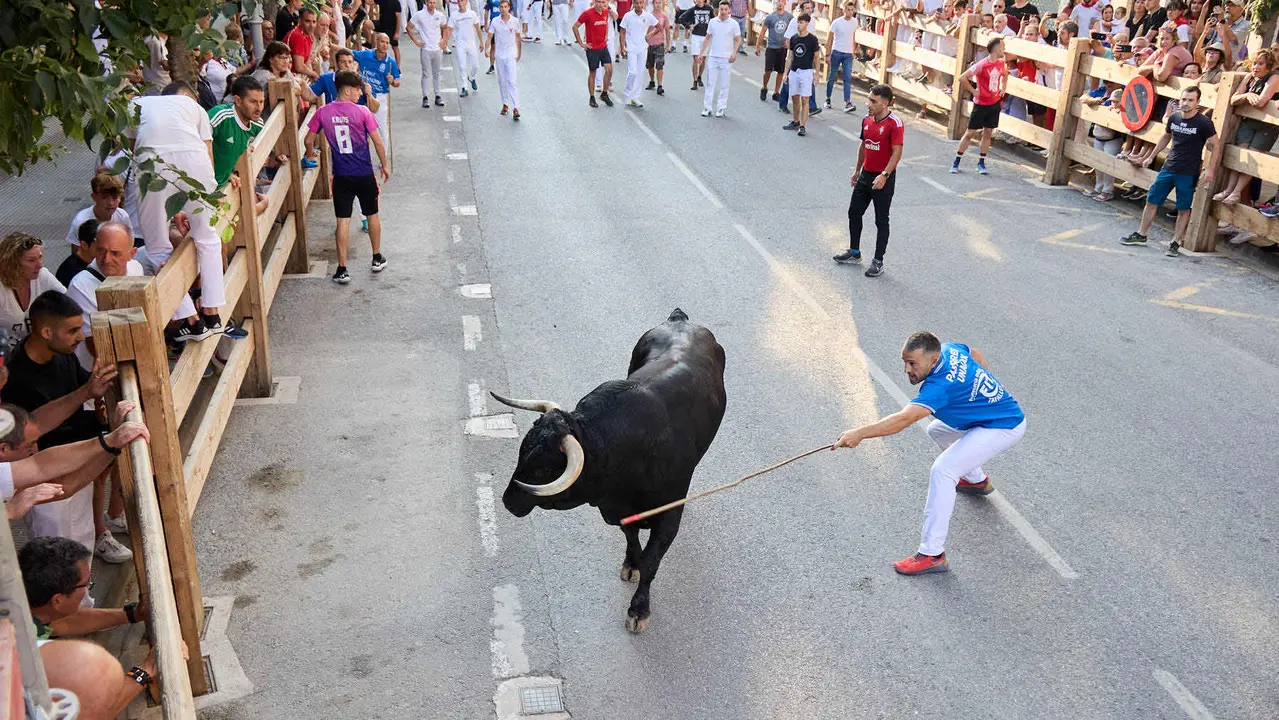 Primer encierro de las fiestas de Tafalla 2025 con toros de la ganadería del Conde de la Corte. IÑIGO ALZUGARAY