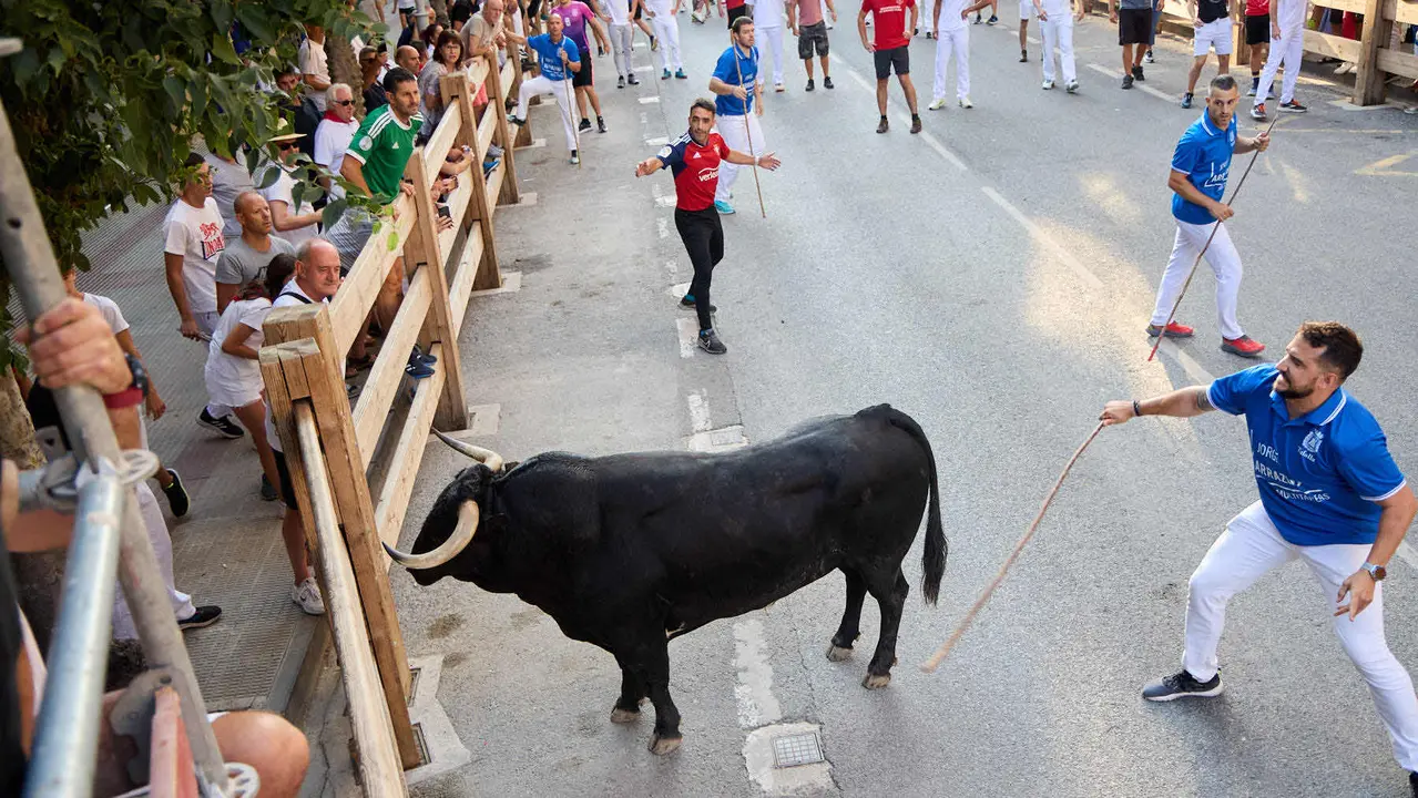 Primer encierro de las fiestas de Tafalla 2025 con toros de la ganadería del Conde de la Corte. IÑIGO ALZUGARAY