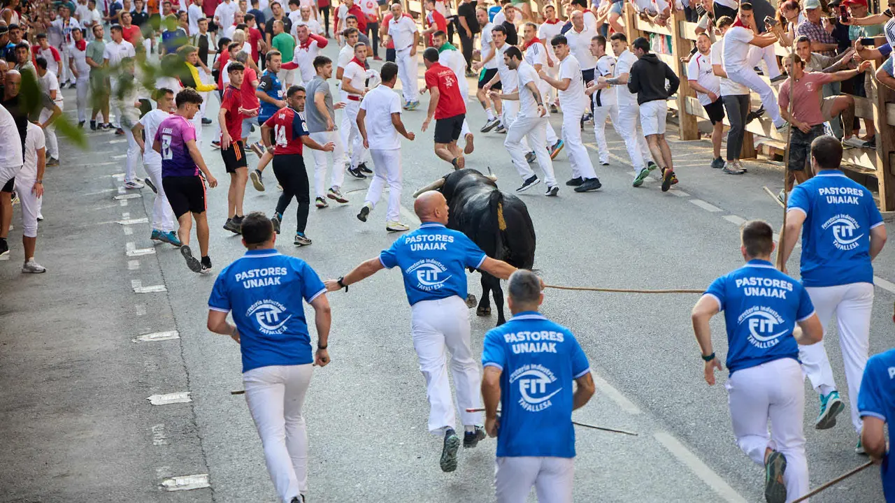 Primer encierro de las fiestas de Tafalla 2025 con toros de la ganadería del Conde de la Corte. IÑIGO ALZUGARAY