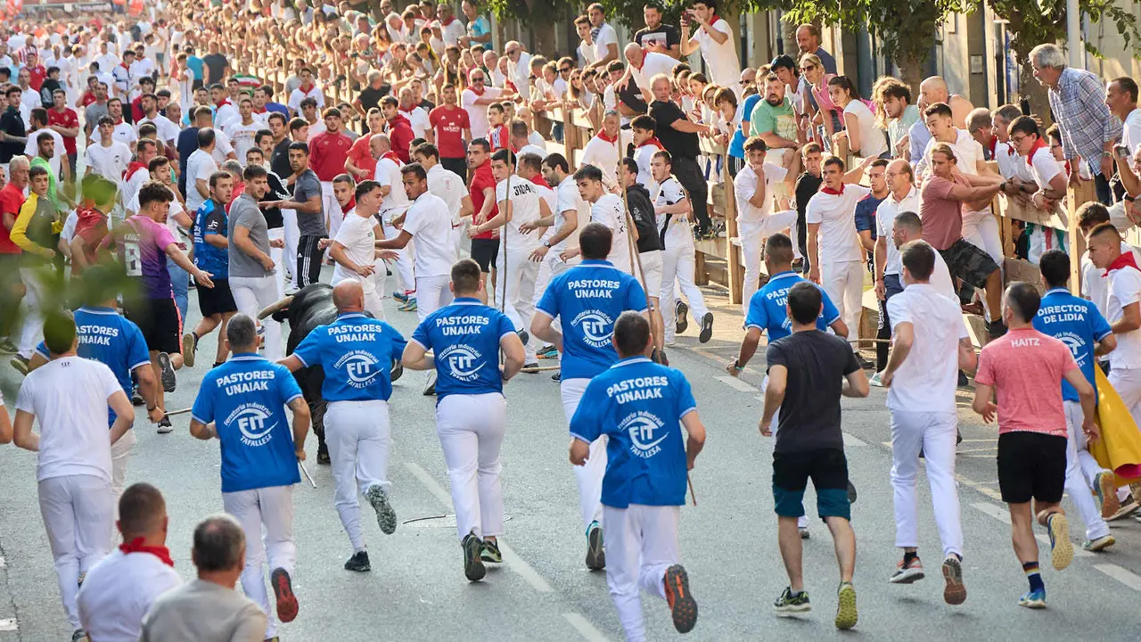Primer encierro de las fiestas de Tafalla 2025 con toros de la ganadería del Conde de la Corte. IÑIGO ALZUGARAY