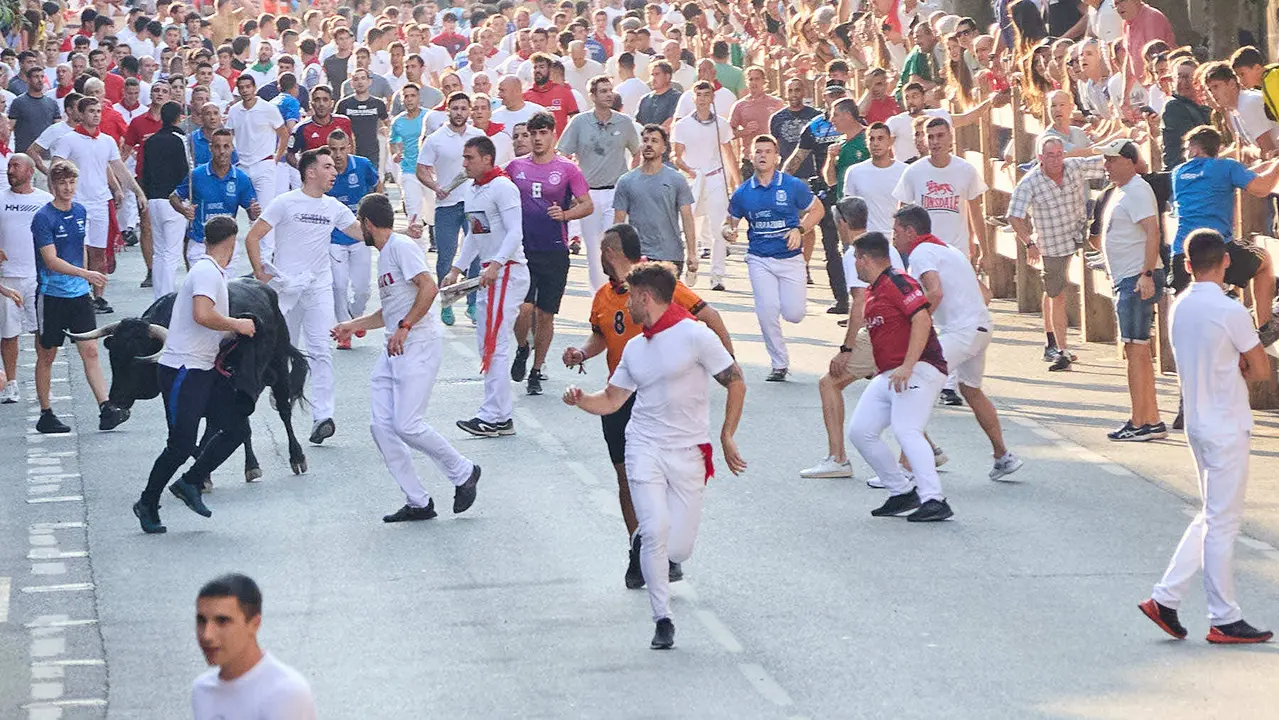 Primer encierro de las fiestas de Tafalla 2025 con toros de la ganadería del Conde de la Corte. IÑIGO ALZUGARAY