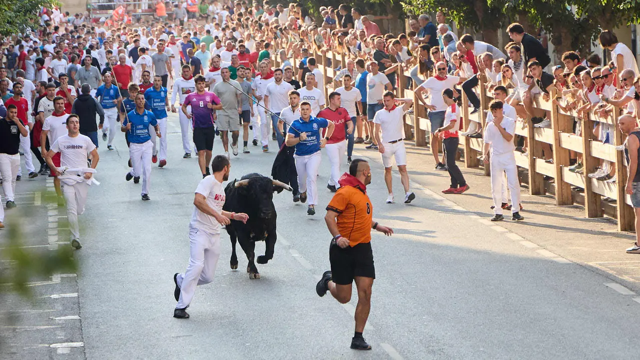 Primer encierro de las fiestas de Tafalla 2025 con toros de la ganadería del Conde de la Corte. IÑIGO ALZUGARAY