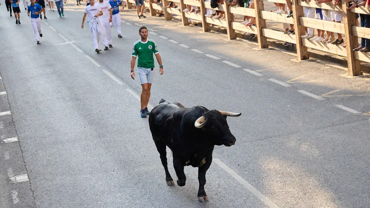 Primer encierro de las fiestas de Tafalla 2025 con toros de la ganadería del Conde de la Corte. IÑIGO ALZUGARAY