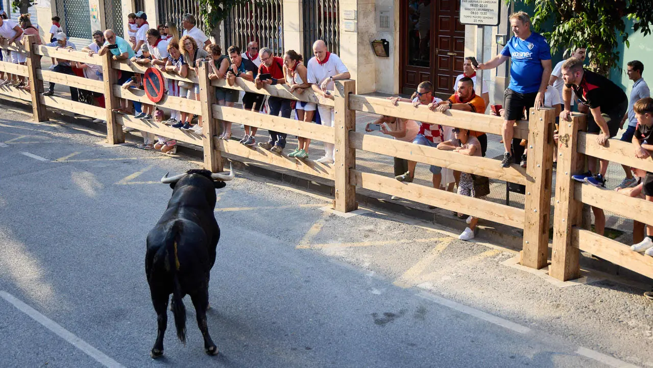 Primer encierro de las fiestas de Tafalla 2025 con toros de la ganadería del Conde de la Corte. IÑIGO ALZUGARAY