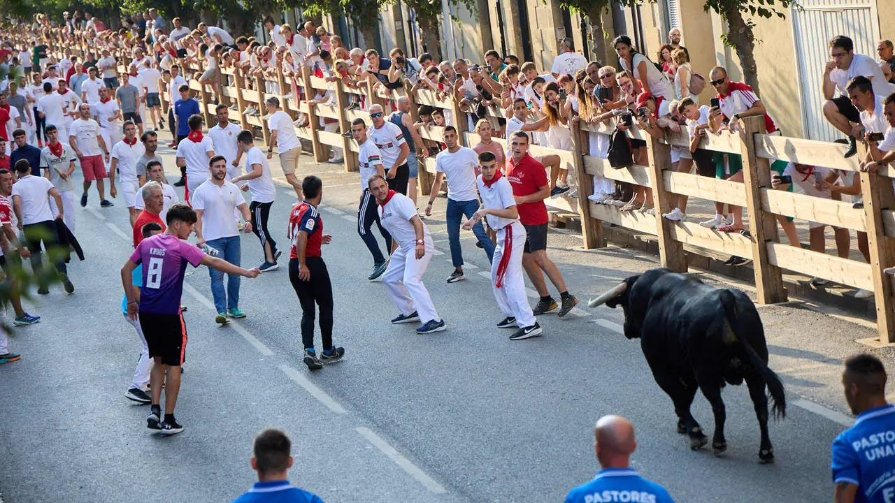 Primer encierro de las fiestas de Tafalla 2025 con toros de la ganadería del Conde de la Corte. IÑIGO ALZUGARAY