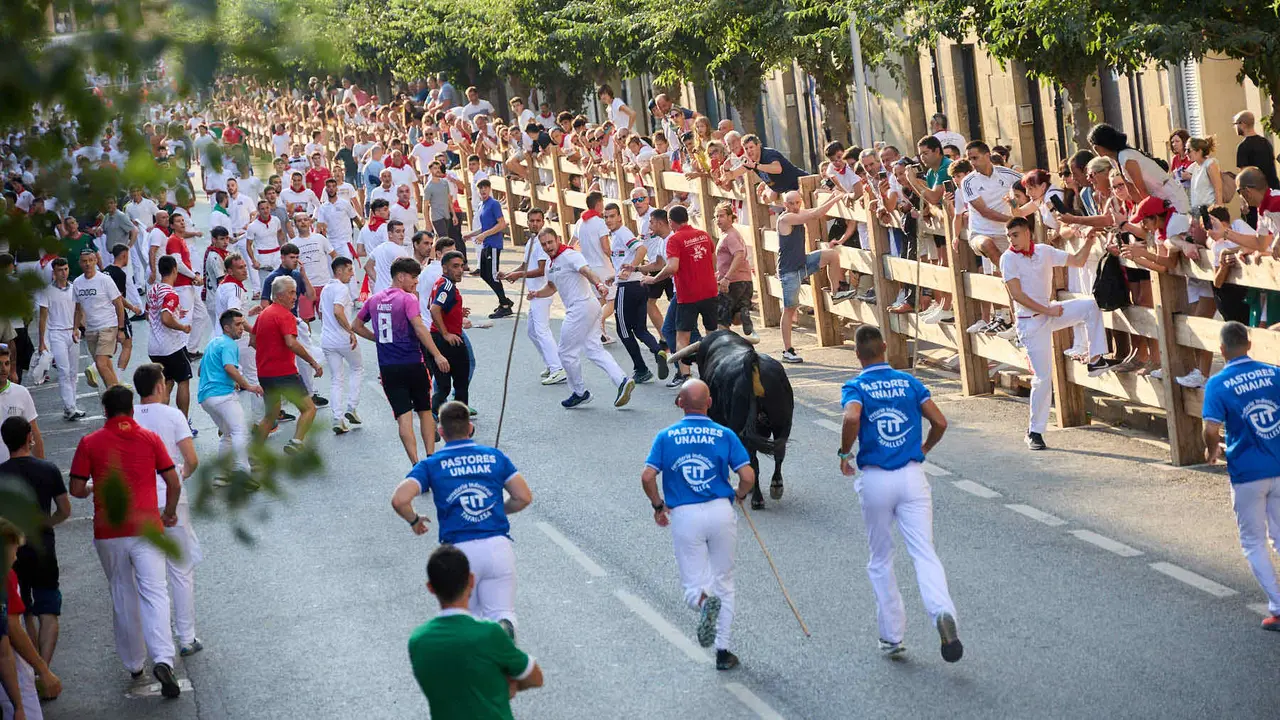 Primer encierro de las fiestas de Tafalla 2025 con toros de la ganadería del Conde de la Corte. IÑIGO ALZUGARAY