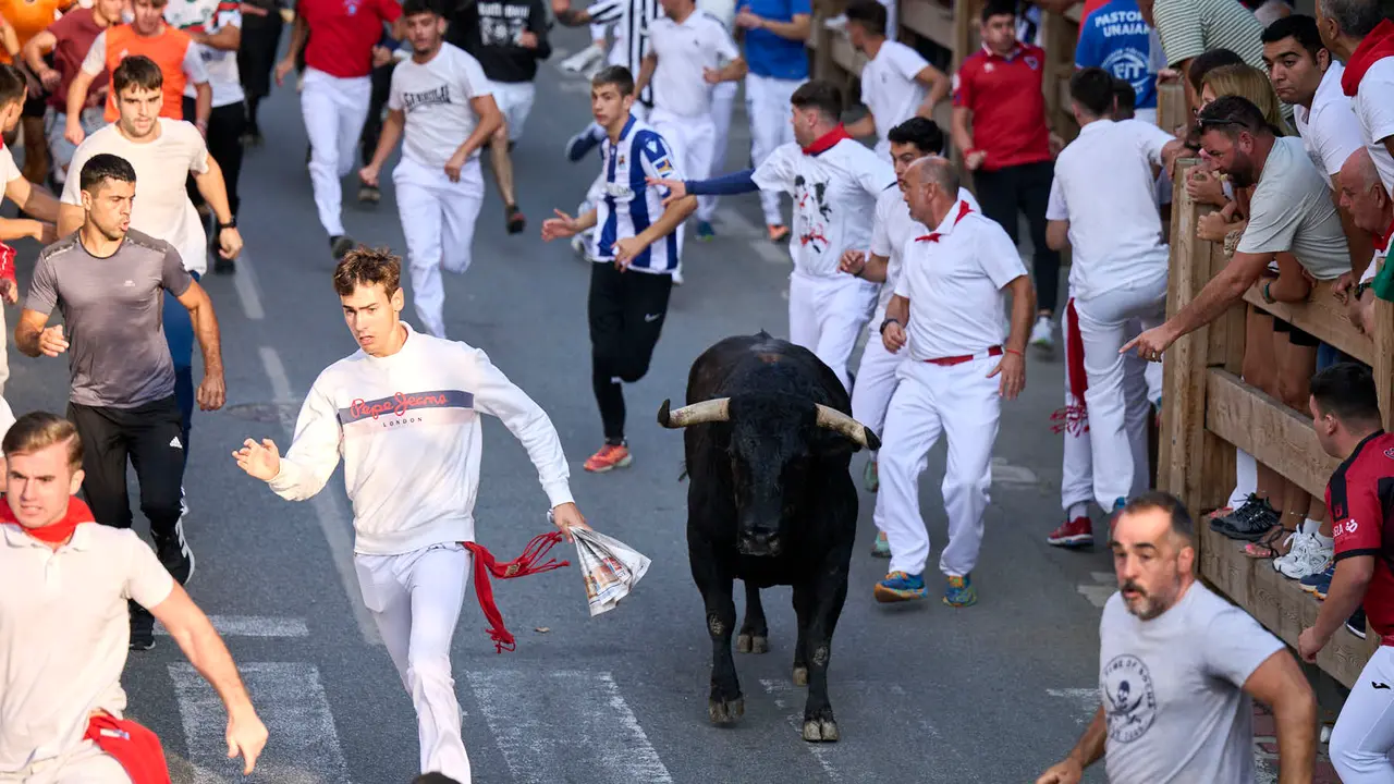 Primer encierro de fiestas de Tafalla 2025 con toros de la ganadería Conde de la Corte. PABLO LASAOSA