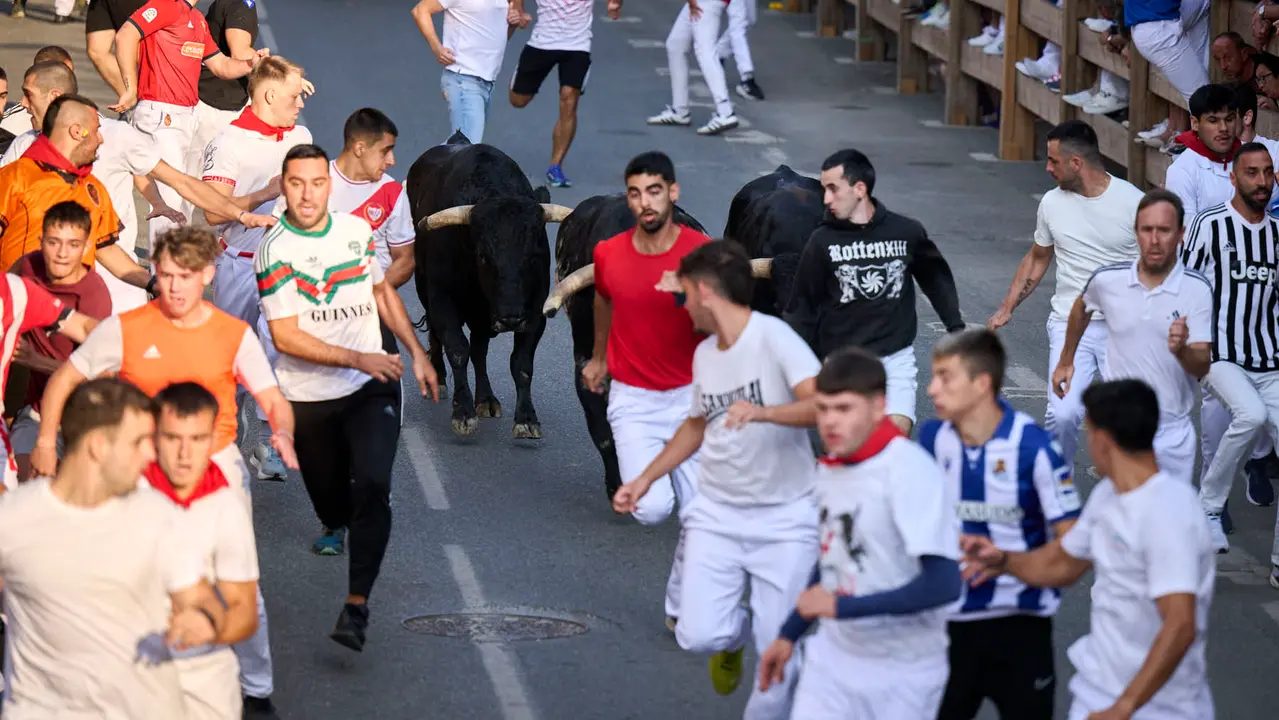Primer encierro de fiestas de Tafalla 2025 con toros de la ganadería Conde de la Corte. PABLO LASAOSA