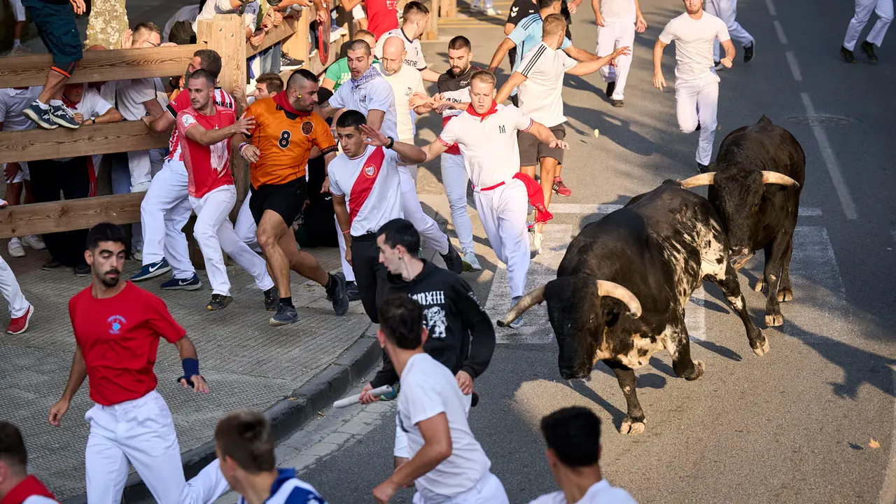 Primer encierro de fiestas de Tafalla 2025 con toros de la ganadería Conde de la Corte. PABLO LASAOSA