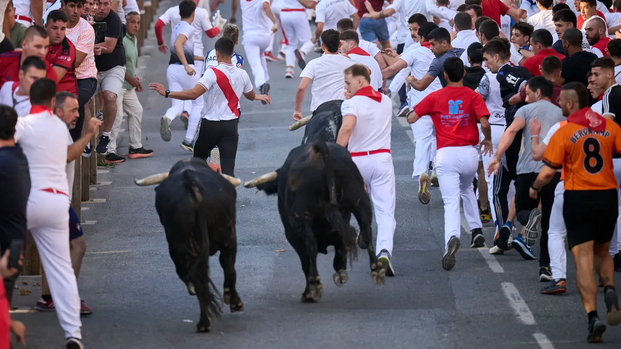 Primer encierro de fiestas de Tafalla 2025 con toros de la ganadería Conde de la Corte. PABLO LASAOSA