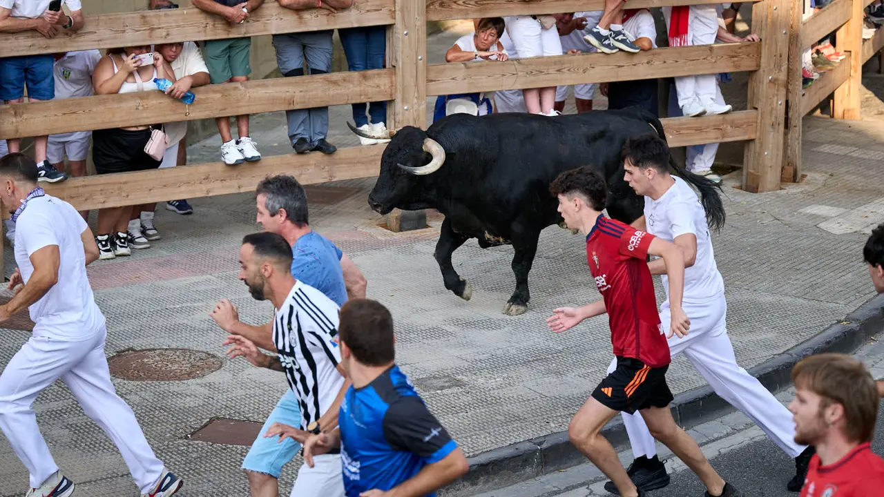 Primer encierro de fiestas de Tafalla 2025 con toros de la ganadería Conde de la Corte. PABLO LASAOSA