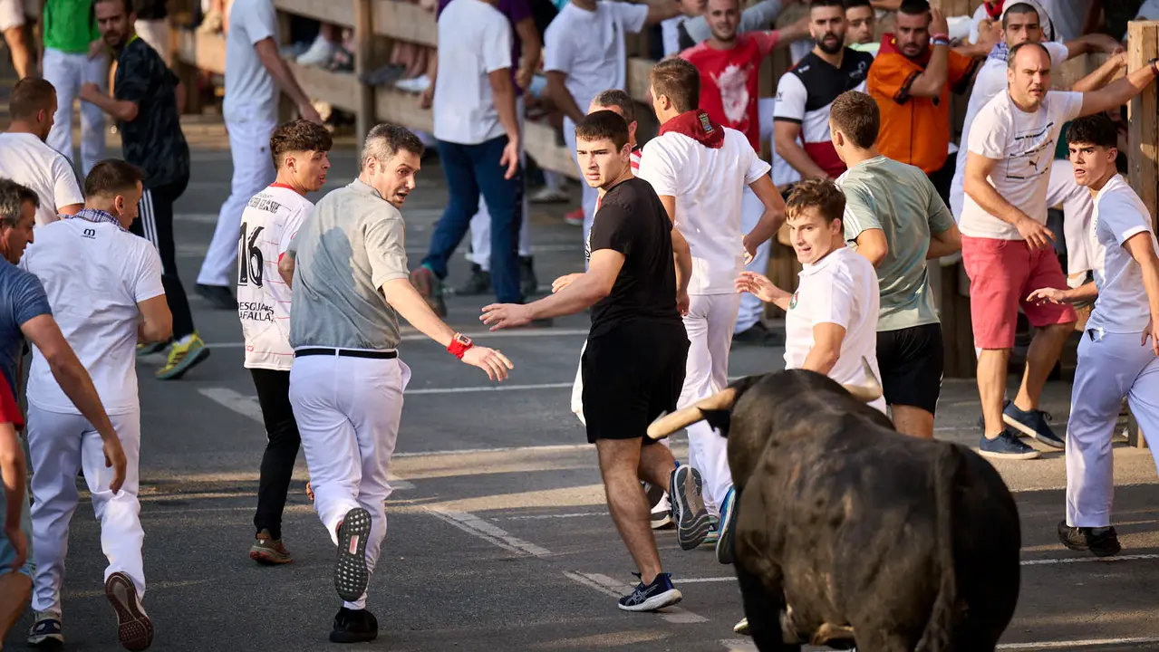 Primer encierro de fiestas de Tafalla 2025 con toros de la ganadería Conde de la Corte. PABLO LASAOSA