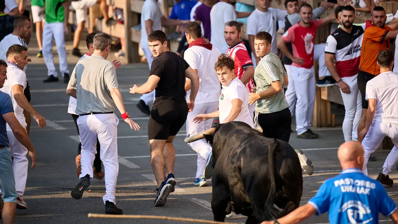 Primer encierro de fiestas de Tafalla 2025 con toros de la ganadería Conde de la Corte. PABLO LASAOSA