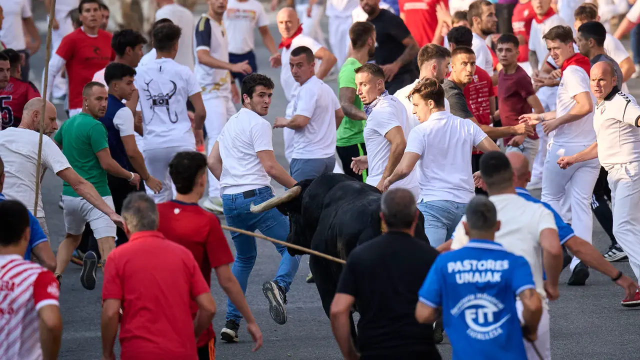 Primer encierro de fiestas de Tafalla 2025 con toros de la ganadería Conde de la Corte. PABLO LASAOSA