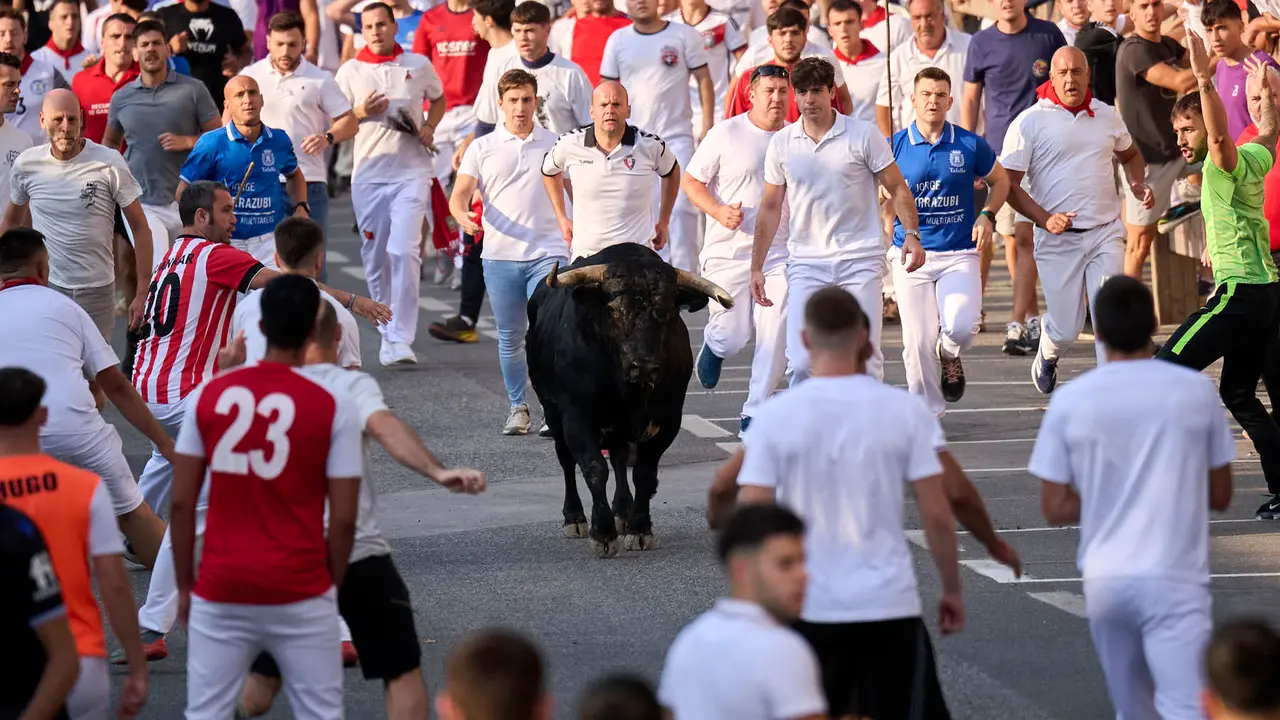 Primer encierro de fiestas de Tafalla 2025 con toros de la ganadería Conde de la Corte. PABLO LASAOSA
