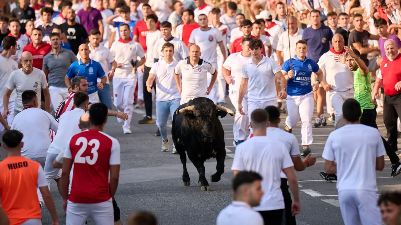Primer encierro de fiestas de Tafalla 2025 con toros de la ganadería Conde de la Corte. PABLO LASAOSA