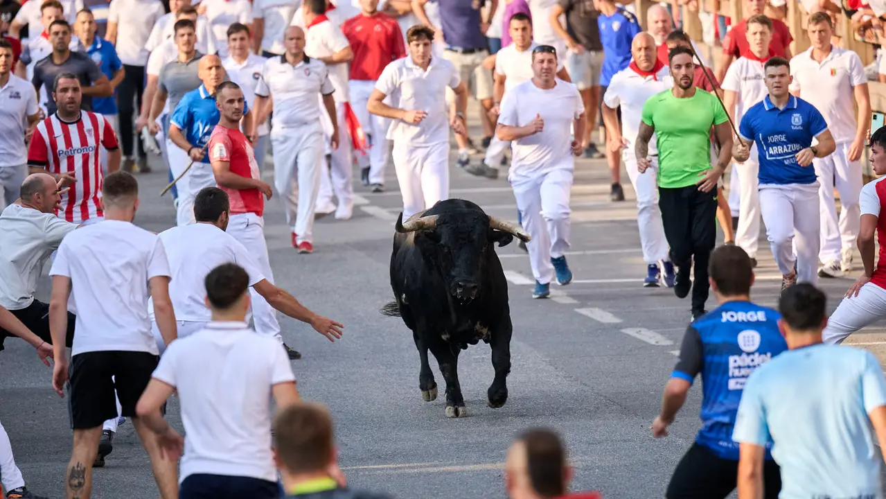 Primer encierro de fiestas de Tafalla 2025 con toros de la ganadería Conde de la Corte. PABLO LASAOSA