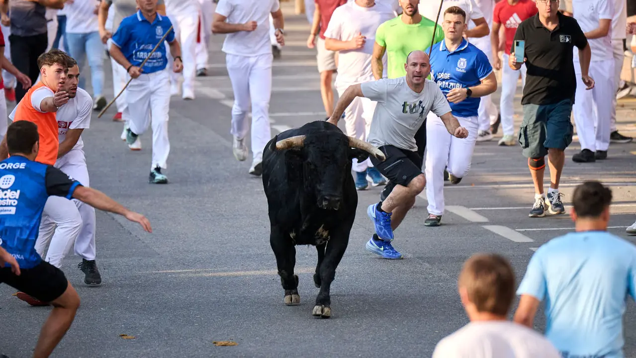Primer encierro de fiestas de Tafalla 2025 con toros de la ganadería Conde de la Corte. PABLO LASAOSA
