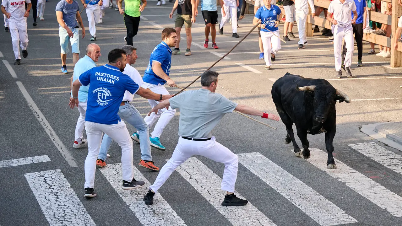 Primer encierro de fiestas de Tafalla 2025 con toros de la ganadería Conde de la Corte. PABLO LASAOSA