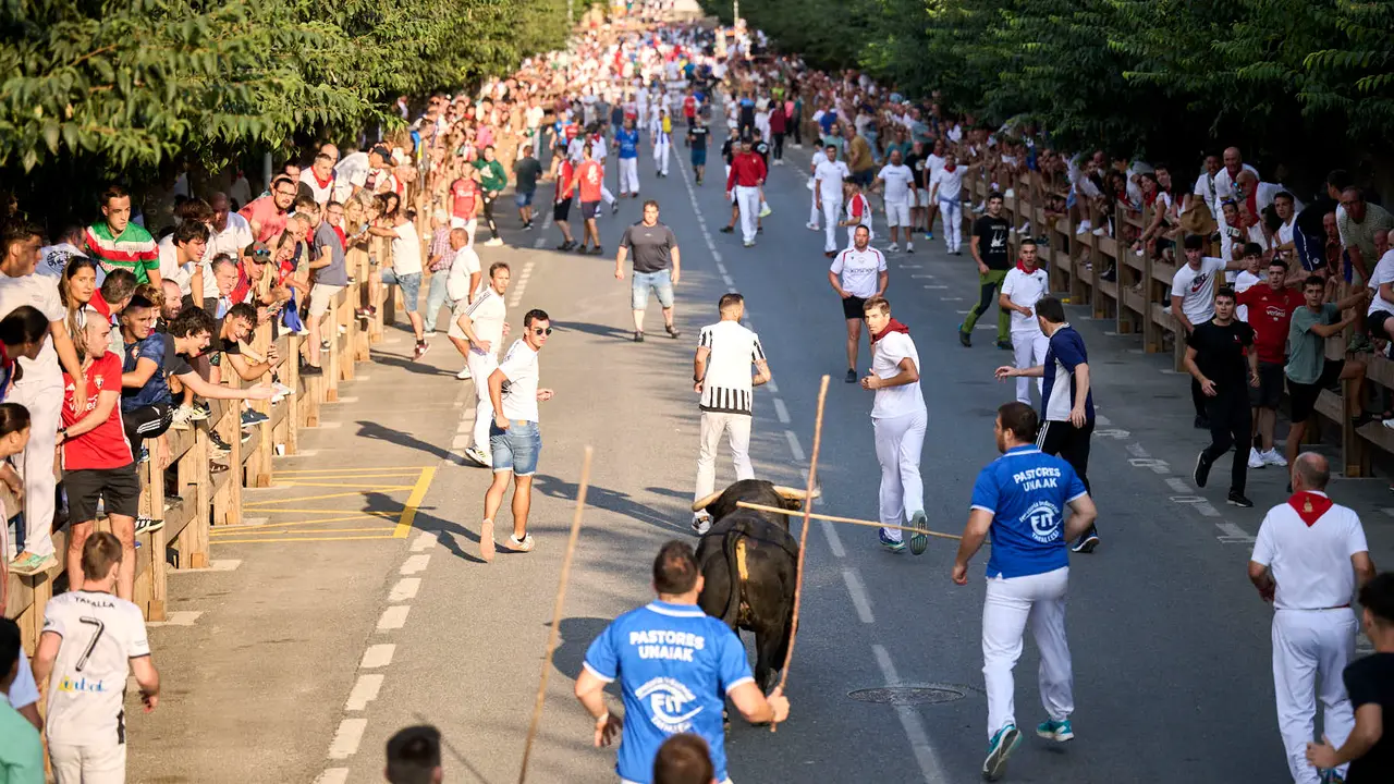 Primer encierro de fiestas de Tafalla 2025 con toros de la ganadería Conde de la Corte. PABLO LASAOSA