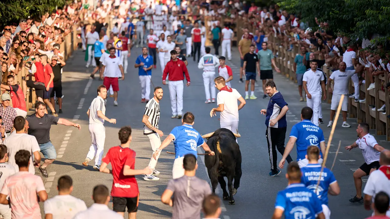 Primer encierro de fiestas de Tafalla 2025 con toros de la ganadería Conde de la Corte. PABLO LASAOSA