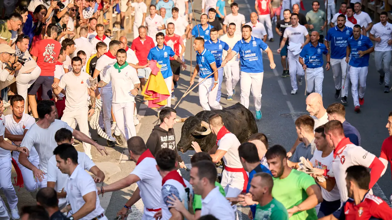 Primer encierro de fiestas de Tafalla 2025 con toros de la ganadería Conde de la Corte. PABLO LASAOSA