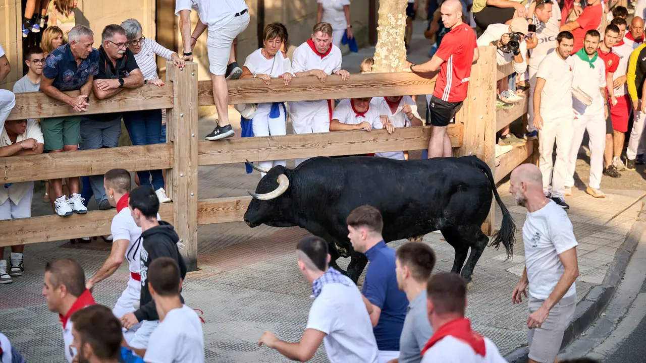 Primer encierro de fiestas de Tafalla 2025 con toros de la ganadería Conde de la Corte. PABLO LASAOSA