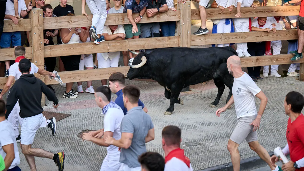 Primer encierro de fiestas de Tafalla 2025 con toros de la ganadería Conde de la Corte. PABLO LASAOSA