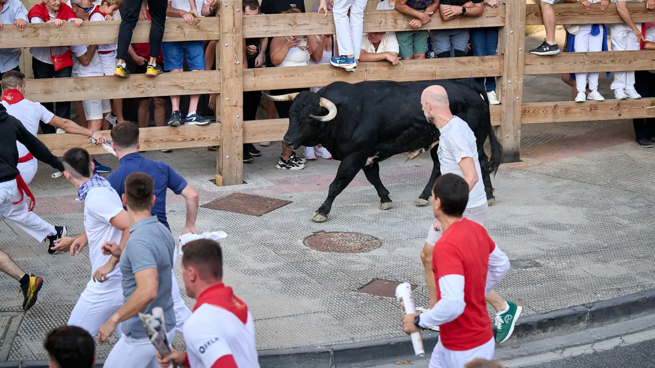 Primer encierro de fiestas de Tafalla 2025 con toros de la ganadería Conde de la Corte. PABLO LASAOSA