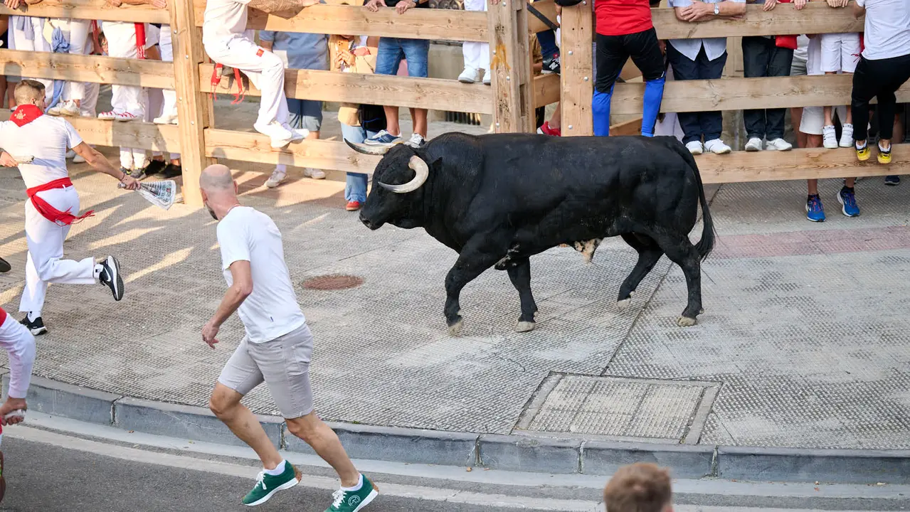 Primer encierro de fiestas de Tafalla 2025 con toros de la ganadería Conde de la Corte. PABLO LASAOSA