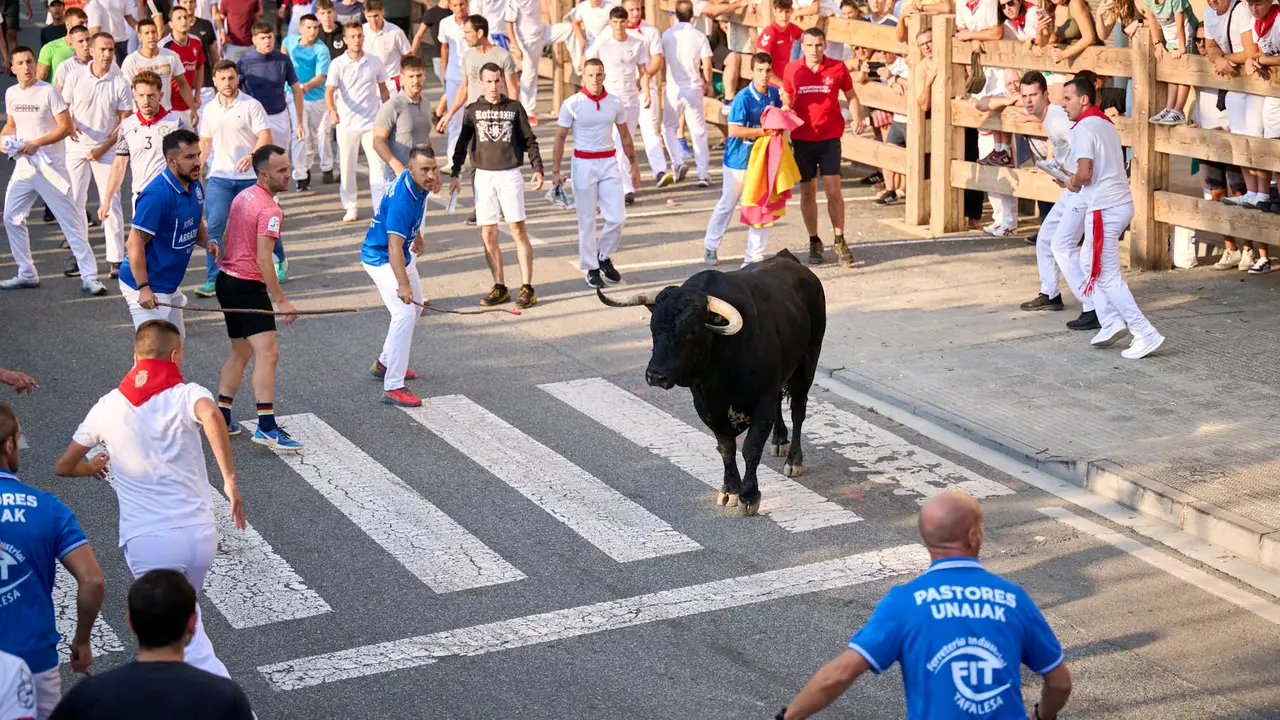 Primer encierro de fiestas de Tafalla 2025 con toros de la ganadería Conde de la Corte. PABLO LASAOSA