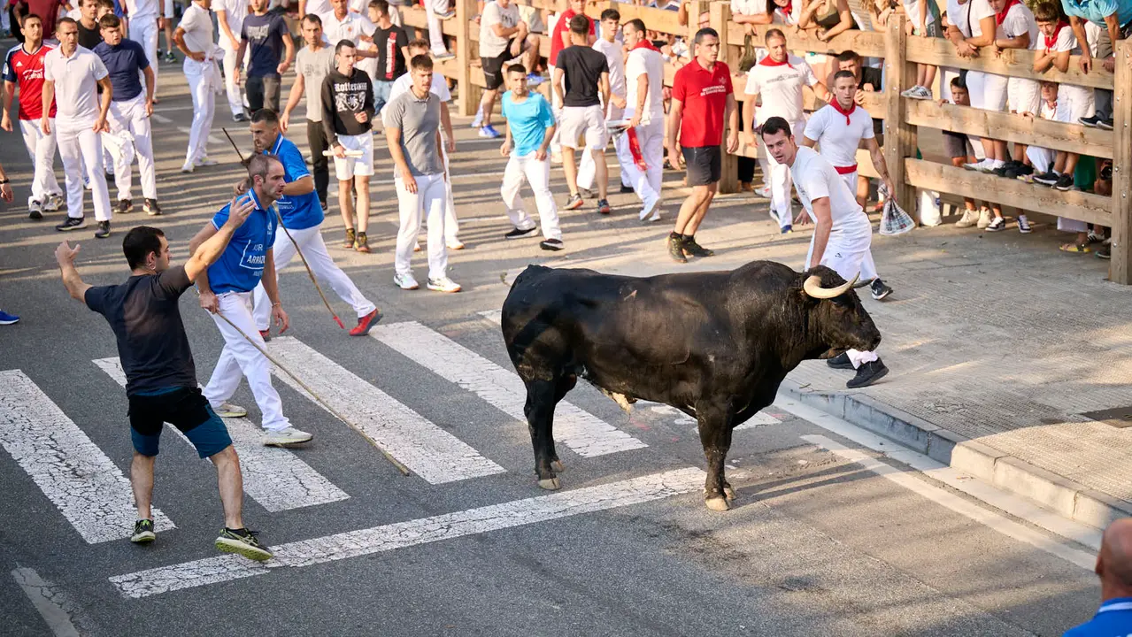 Primer encierro de fiestas de Tafalla 2025 con toros de la ganadería Conde de la Corte. PABLO LASAOSA