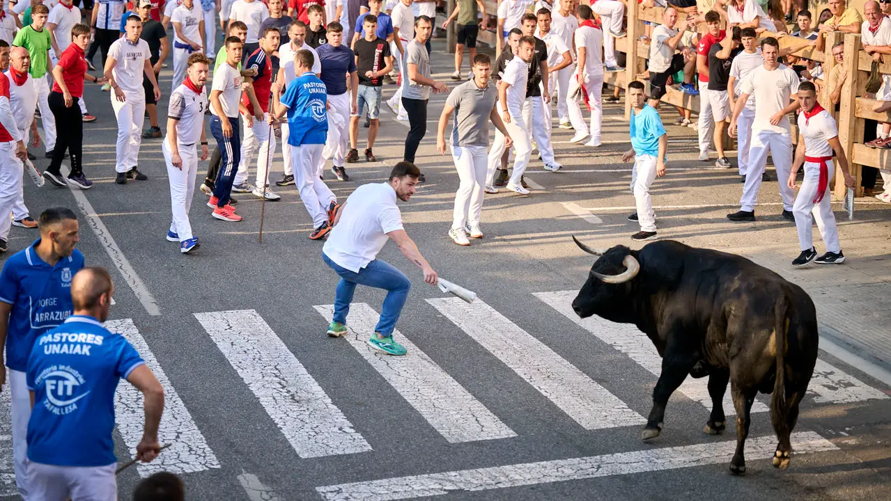 Primer encierro de fiestas de Tafalla 2025 con toros de la ganadería Conde de la Corte. PABLO LASAOSA
