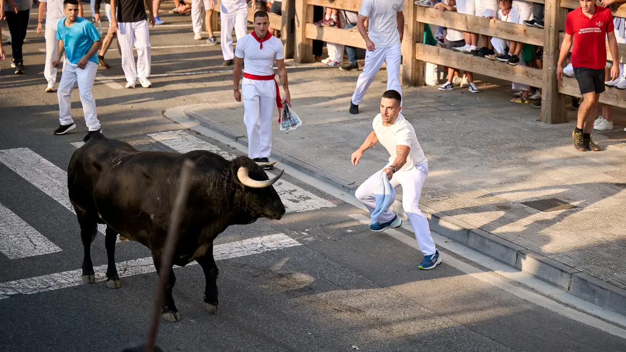 Primer encierro de fiestas de Tafalla 2025 con toros de la ganadería Conde de la Corte. PABLO LASAOSA