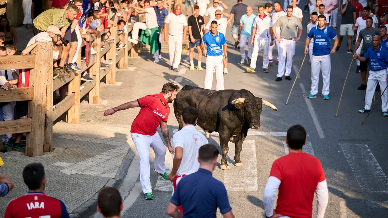 Primer encierro de fiestas de Tafalla 2025 con toros de la ganadería Conde de la Corte. PABLO LASAOSA