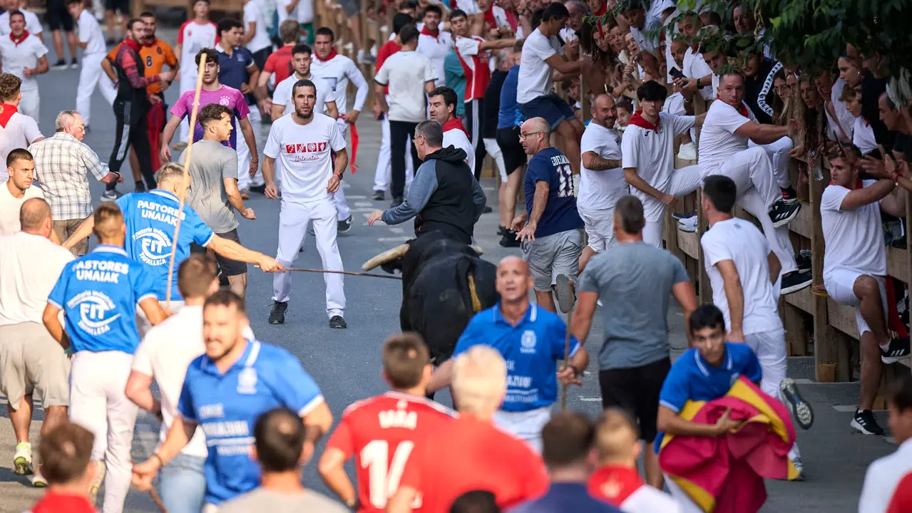 Primer encierro de fiestas de Tafalla 2025 con toros de la ganadería Conde de la Corte. PABLO LASAOSA