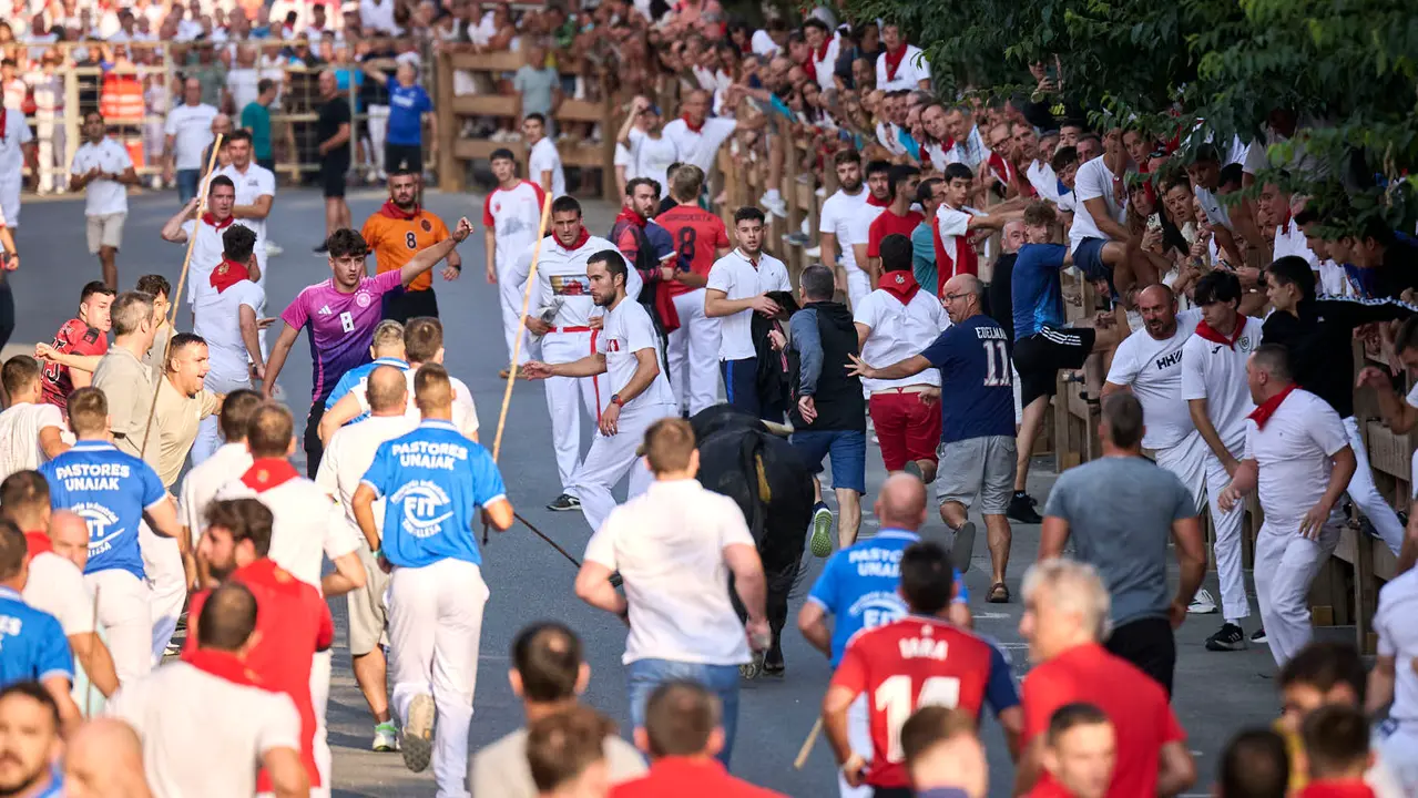 Primer encierro de fiestas de Tafalla 2025 con toros de la ganadería Conde de la Corte. PABLO LASAOSA