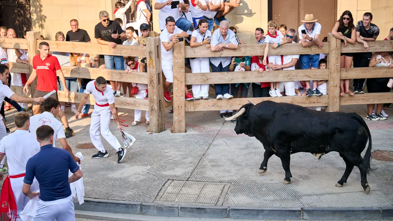 Primer encierro de fiestas de Tafalla 2025 con toros de la ganadería Conde de la Corte. PABLO LASAOSA