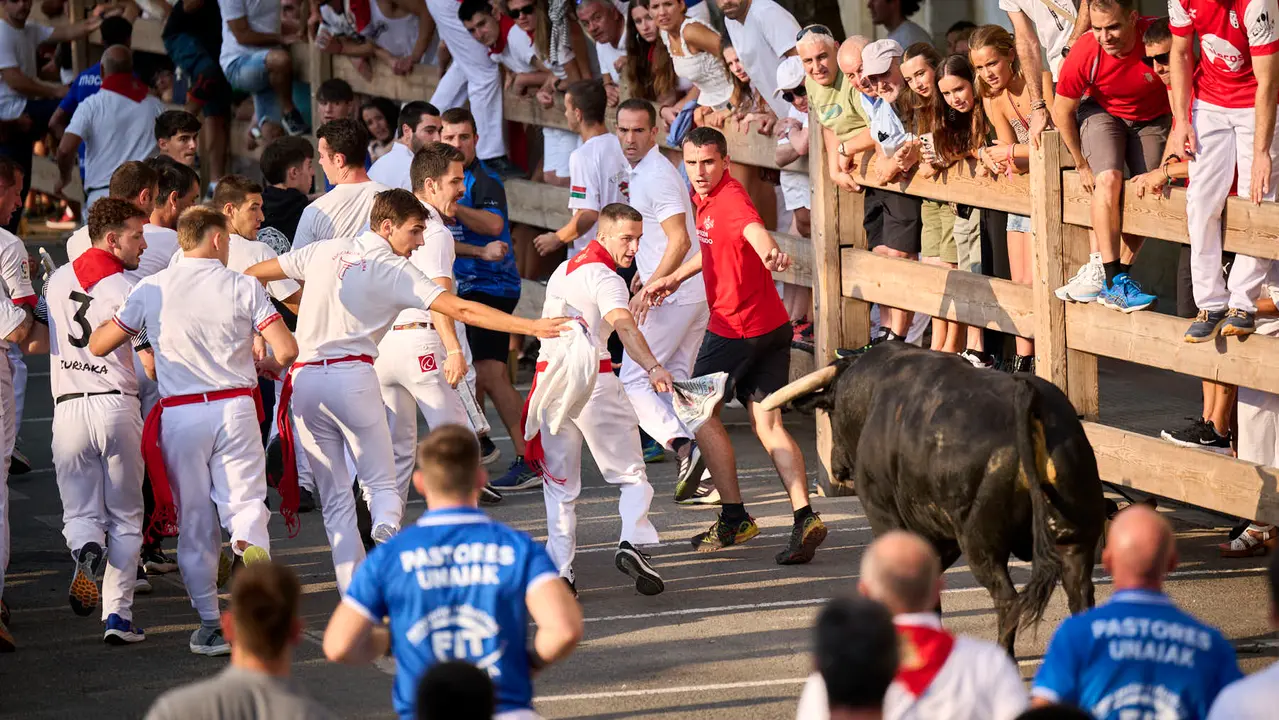 Primer encierro de fiestas de Tafalla 2025 con toros de la ganadería Conde de la Corte. PABLO LASAOSA