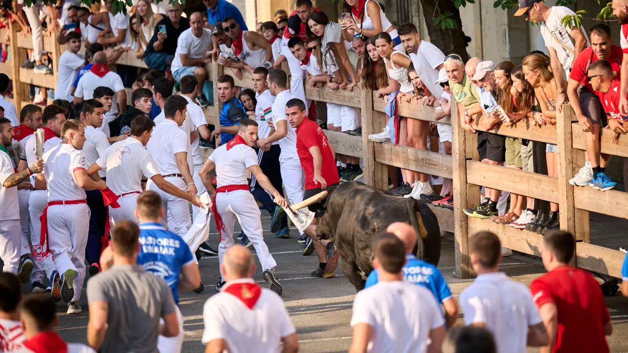 Primer encierro de fiestas de Tafalla 2025 con toros de la ganadería Conde de la Corte. PABLO LASAOSA