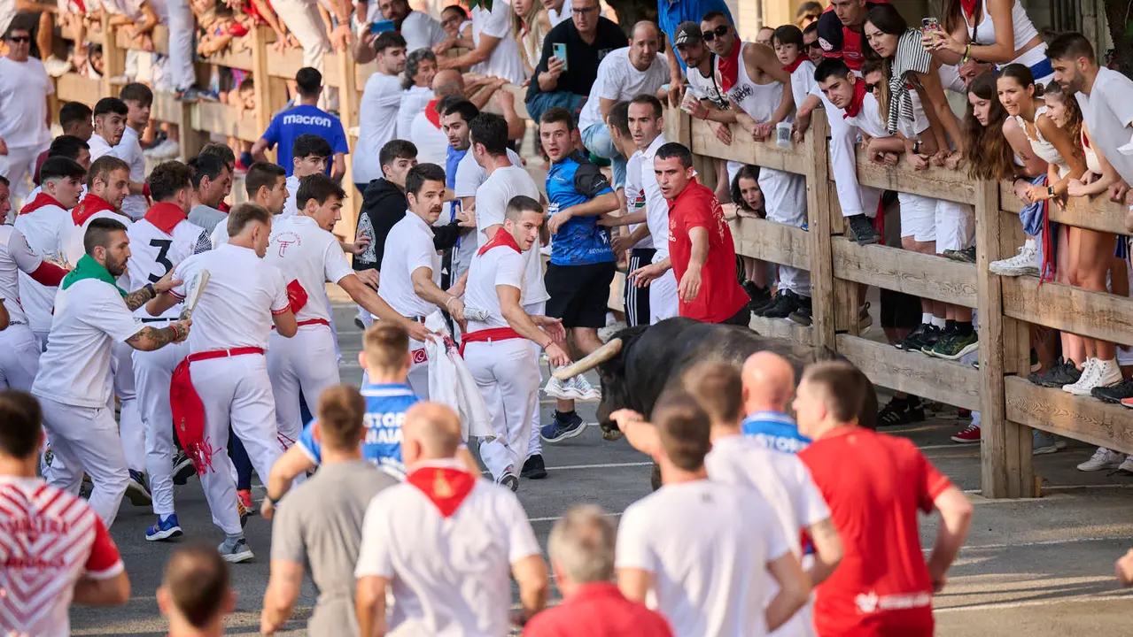 Primer encierro de fiestas de Tafalla 2025 con toros de la ganadería Conde de la Corte. PABLO LASAOSA