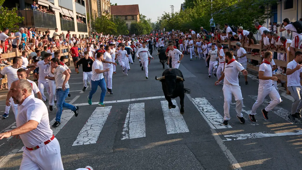 Primer encierro de las fiestas de Tafalla 2025 con toros de la ganadería Conde de la Corte. IRANZUU LARRASOAÑA