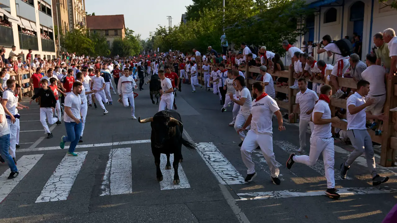 Primer encierro de las fiestas de Tafalla 2025 con toros de la ganadería Conde de la Corte. IRANZUU LARRASOAÑA