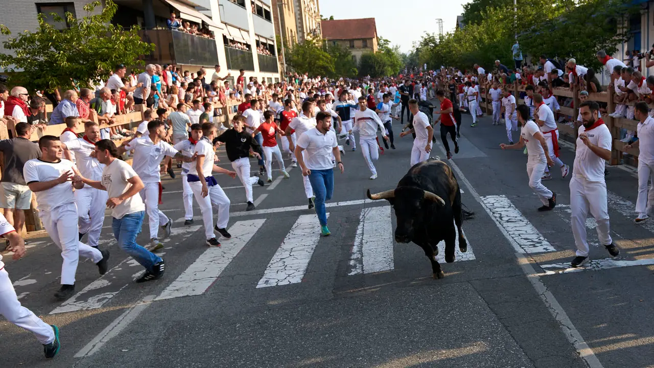 Primer encierro de las fiestas de Tafalla 2025 con toros de la ganadería Conde de la Corte. IRANZUU LARRASOAÑA