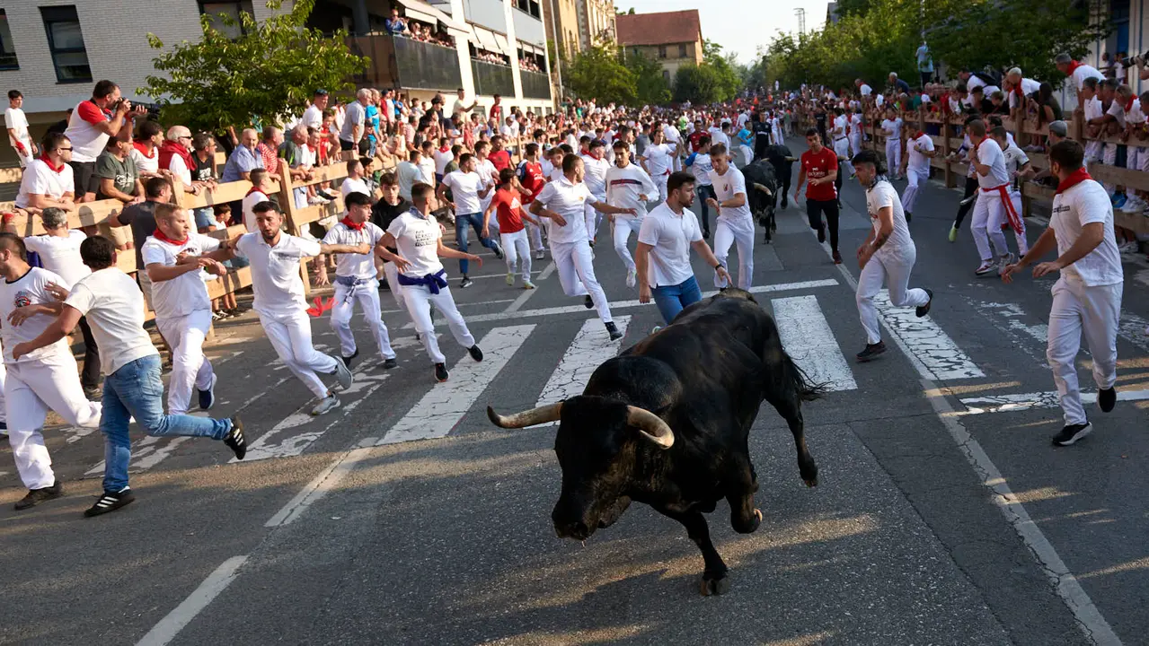 Primer encierro de las fiestas de Tafalla 2025 con toros de la ganadería Conde de la Corte. IRANZUU LARRASOAÑA