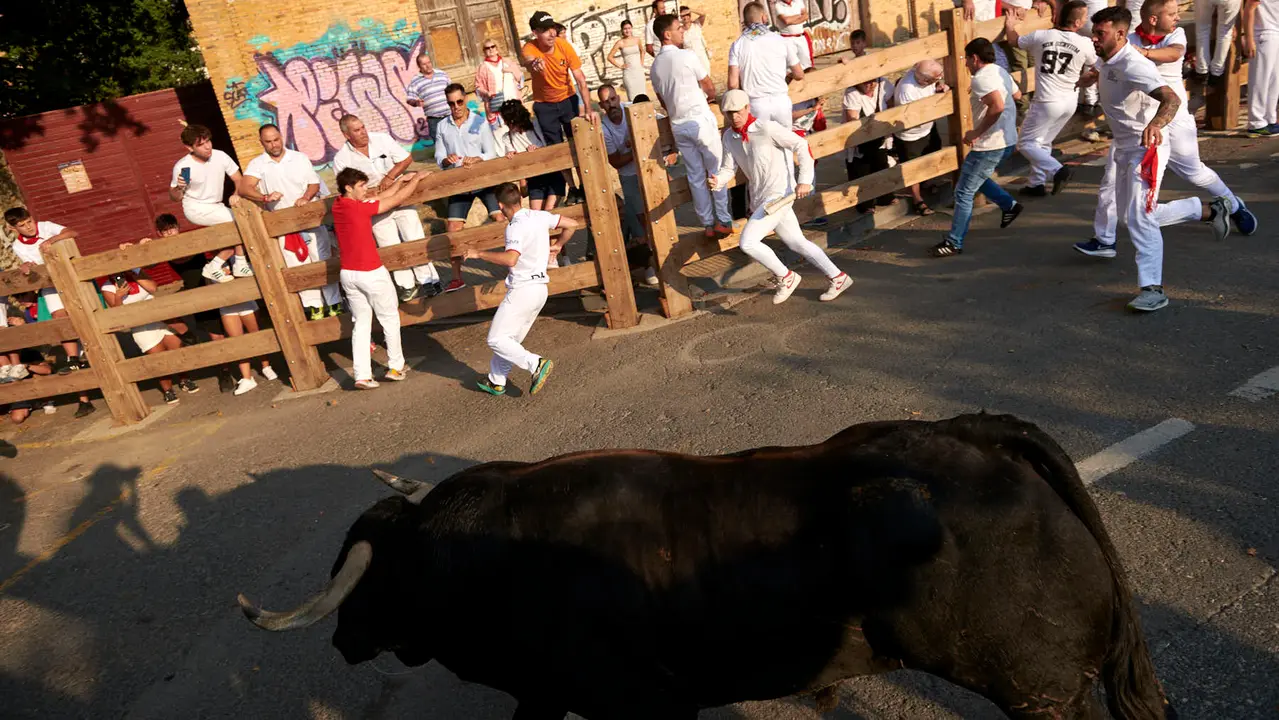 Primer encierro de las fiestas de Tafalla 2025 con toros de la ganadería Conde de la Corte. IRANZUU LARRASOAÑA
