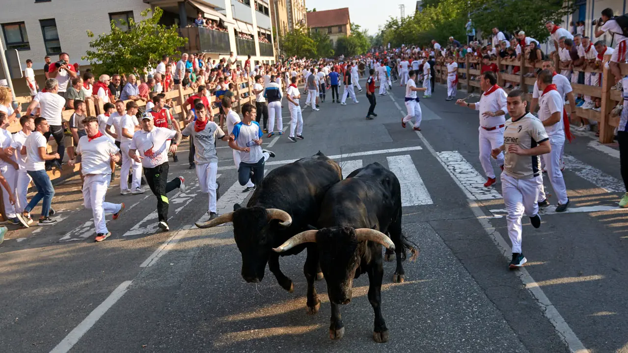 Primer encierro de las fiestas de Tafalla 2025 con toros de la ganadería Conde de la Corte. IRANZUU LARRASOAÑA