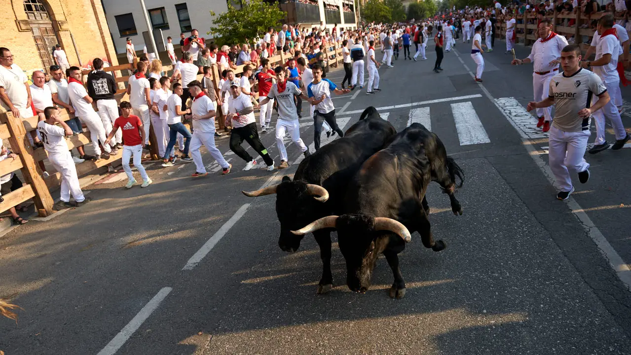Primer encierro de las fiestas de Tafalla 2025 con toros de la ganadería Conde de la Corte. IRANZUU LARRASOAÑA